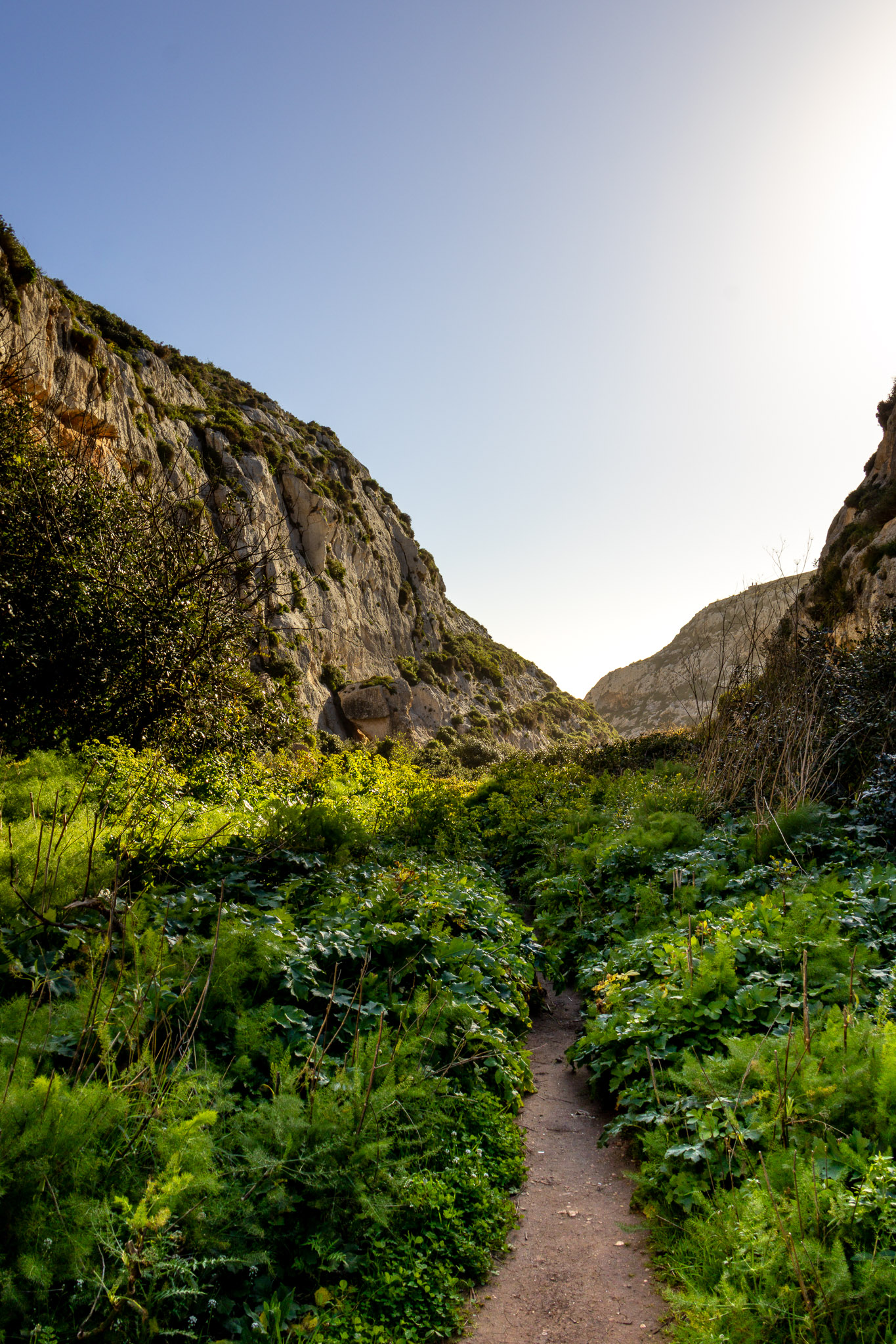 Wied babu - Zurrieq valley-22